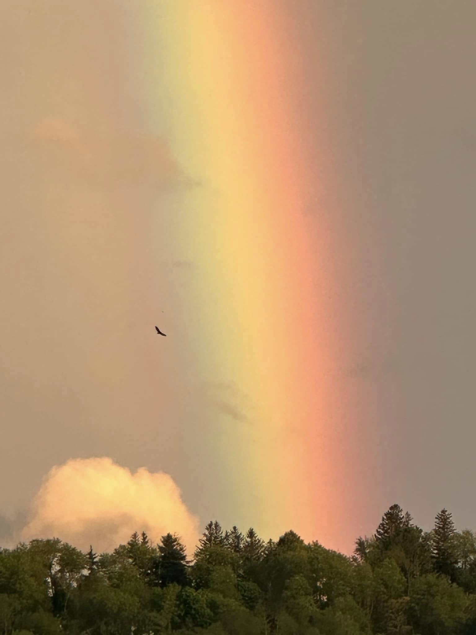 Meyers Service Scholars